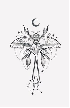 a black and white drawing of a moth with stars on it's back side