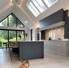 a dog sitting in the middle of a kitchen with an open floor plan and skylights