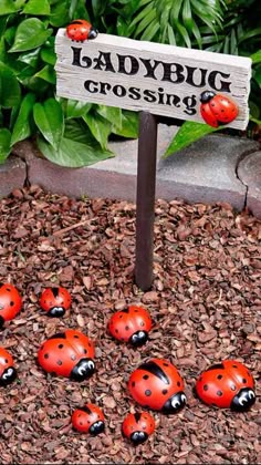 ladybug figurines in the ground with a sign that says ladybug crossing