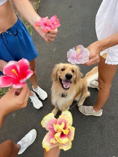 several people holding flowers and petting a dog on the ground with it's mouth open