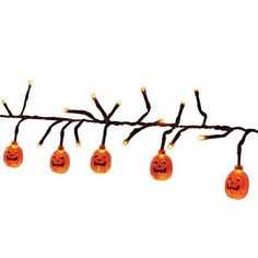 halloween lights are hanging from a branch