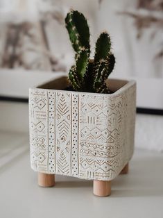 a small potted cactus sitting on top of a table