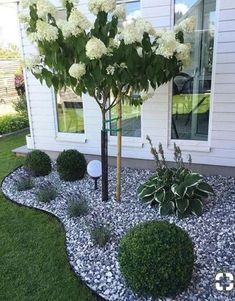 an image of a house with flowers in the front yard and landscaping on the other side