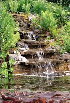 there is a small waterfall in the middle of some plants and rocks, with water running down it