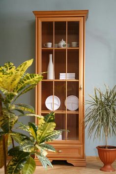 a wooden cabinet sitting next to a potted plant