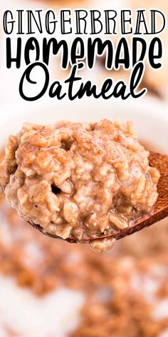 a spoon full of homemade oatmeal sitting on top of a bowl