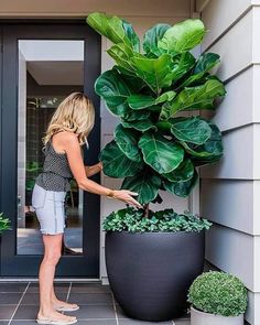 a woman standing next to a large potted plant