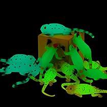 green and yellow geckos are on the ground in front of a black background