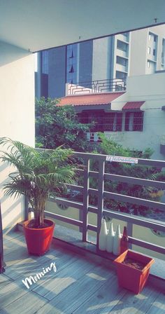 there is a balcony with potted plants on the side and an apartment building in the background