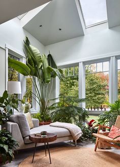 a living room filled with lots of plants and furniture