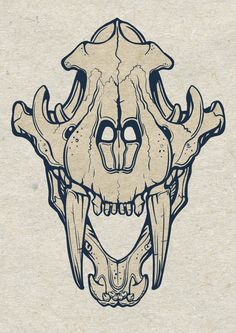 an animal's skull is shown in black and white ink on parchment paper,