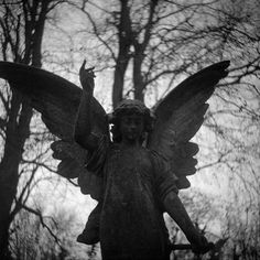 an angel statue in front of some trees