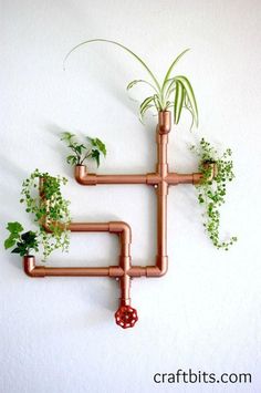 a wall mounted planter made out of copper pipes