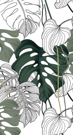 a white and green plant with large leaves on the bottom right hand corner, in an abstract pattern