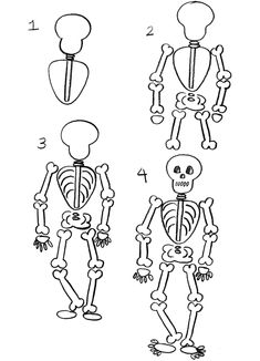 the skeleton is shown in three different positions