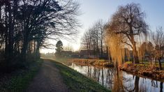 a dirt path next to a body of water with trees on both sides and grass in the foreground