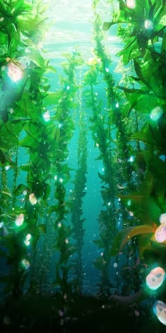 an underwater scene with lots of plants and lights on the water's bottom edge