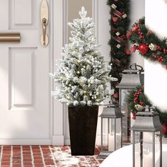 a potted christmas tree sitting in front of a door