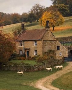 some sheep are walking around in front of a stone house with a fence and gate