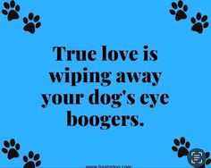 Animal Lover Quotes, Pet Scrapbook Layouts, Eye Quotes, Pet Scrapbook, Dog Eyes, Dog Parents