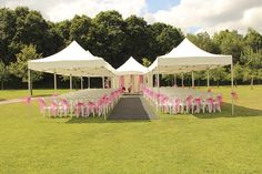 several white tents with pink sashes are set up in the grass