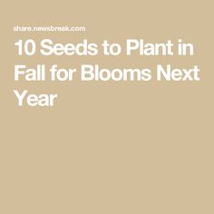 the words 10 seeds to plant in fall for blooms next year on a beige background