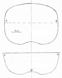 an apple is shown with measurements for the top half and bottom half, as well as the