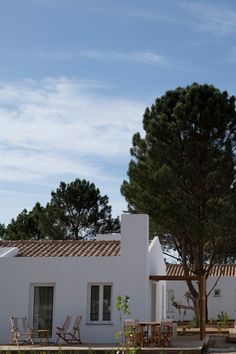 a white house with a tree in front of it and some chairs around the yard