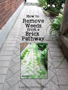 the cover of how to remove weeds from a brick pathway