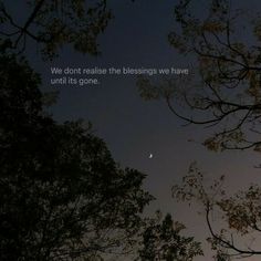 the moon is seen through some trees with a quote on it that reads, we don't really see the blightings we have until it's gone