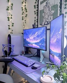 two computer monitors sitting on top of a desk next to a keyboard, mouse and plant