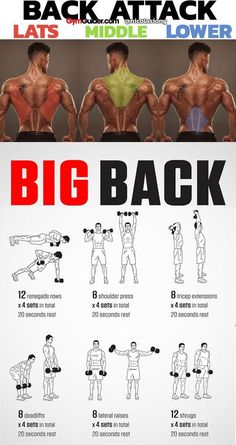 a poster showing how to do back exercises