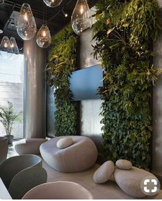 a living room filled with lots of furniture and plants on top of the walls next to windows