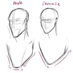 how to draw male and female heads