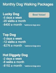 a dog walking package for the best value