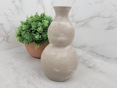 two vases sitting next to each other on a counter top with plants in them