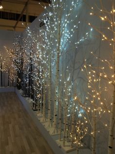 lighted trees are lined up against the wall