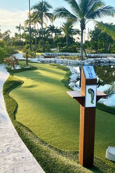 a wooden podium sitting on top of a lush green field next to a lake and palm trees