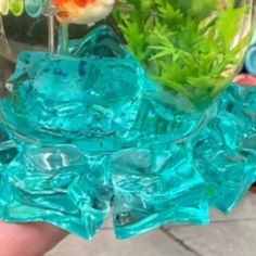 a hand holding a glass fish bowl filled with plants