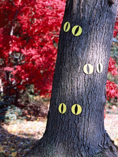 a tree with eyes painted on it