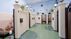 a dog is laying in his kennel at the end of an indoor area with lights on