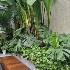 a planter filled with lots of green plants