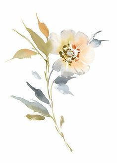 Watercolor Flower Nursery, Abstract Watercolor Flowers, Waterbrush Art, Nursery Flowers, Abstract Watercolor Flower, White Poppies, Plant Watercolor, Loose Watercolor Flowers, Flowers Nursery