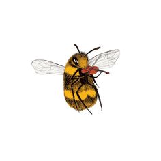 a yellow and black bee flying in the air with it's head turned to the side