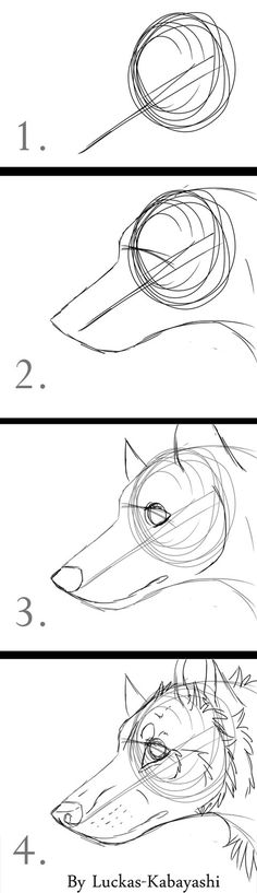 how to draw an animal's head in three different ways step by step instructions