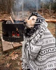 a dog wrapped in a blanket sitting next to a campfire