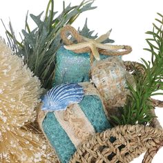 an arrangement of seashells, starfish and seaweed in wicker baskets