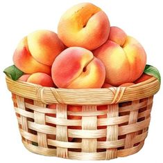 a basket filled with lots of ripe peaches