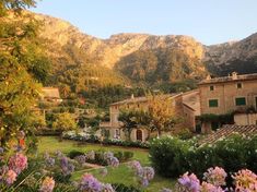 an old house surrounded by flowers and mountains