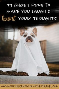 a dog in a ghost costume with the words 13 ghost puns to make you laugh and hunt your thoughts